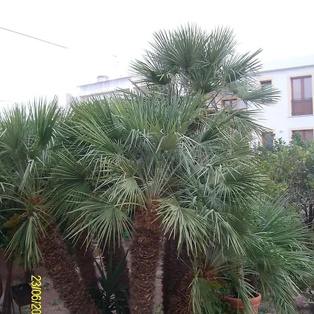بيت للعطل Casa Cocos سان فيتو لو كابو